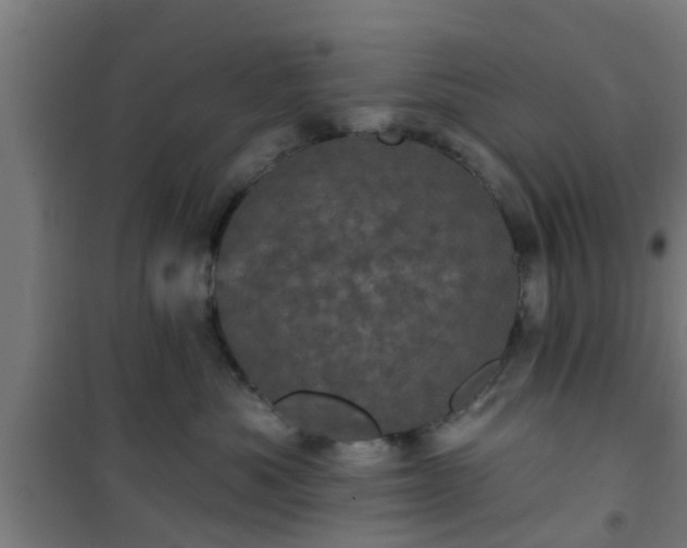 X0000101090525200807031729