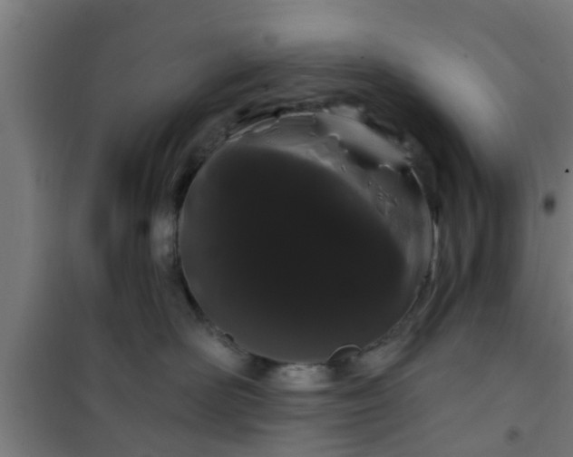 X0000101090526200807031729