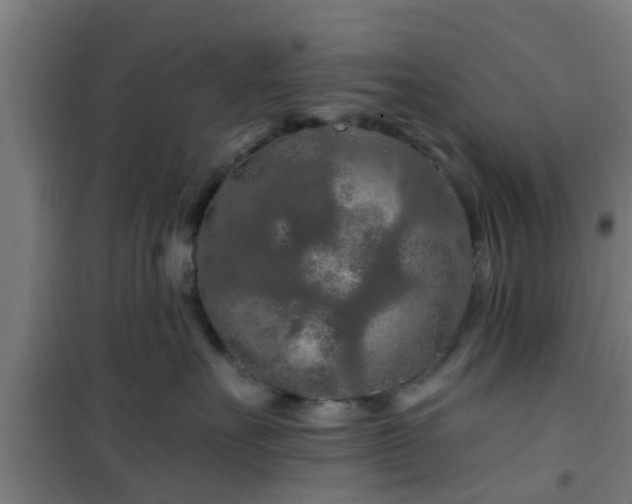 X0000101090527200807031729