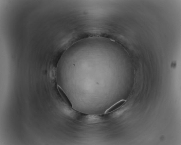 X0000101090528200807031729