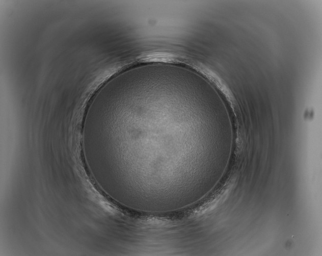 X0000101090529200807031728