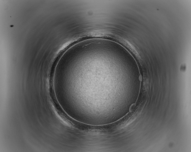 X0000101090530200807031728