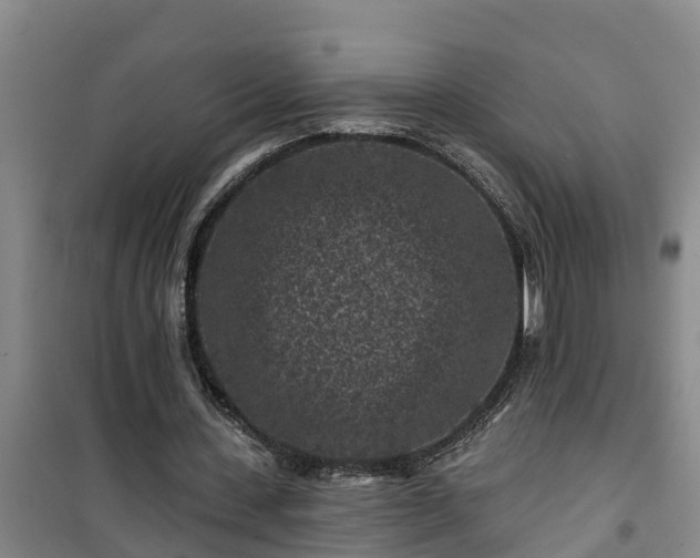 X0000101090531200807031728