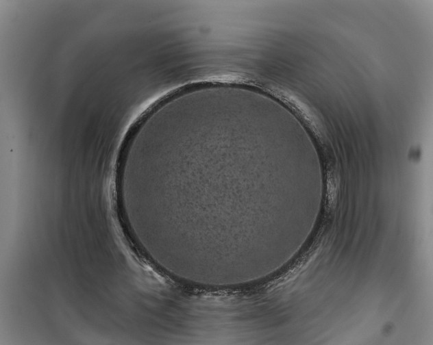 X0000101090532200807031728