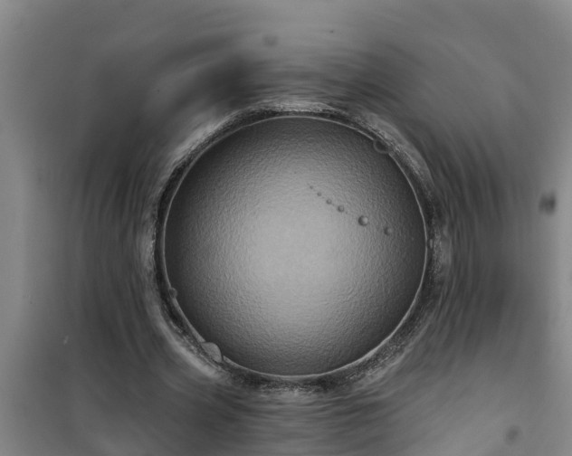 X0000101090533200807031728