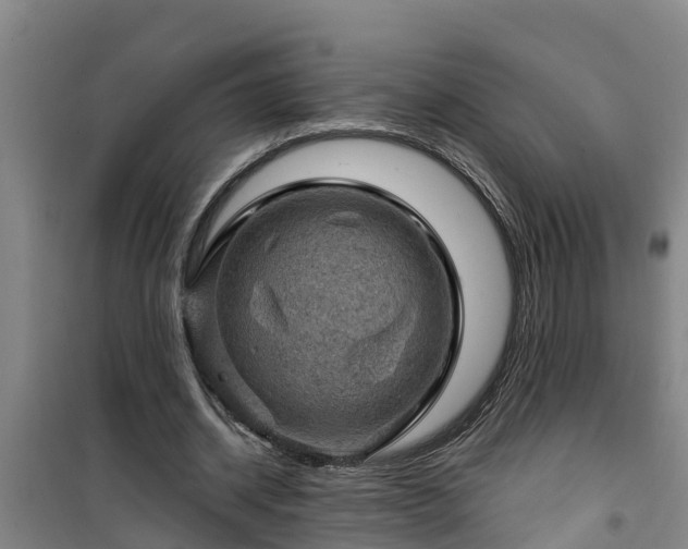 X0000101090534200807031728