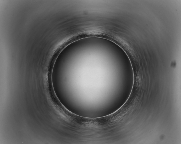 X0000101090535200807031728