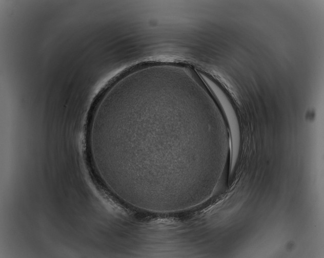 X0000101090536200807031728