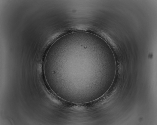 X0000101090537200807031728