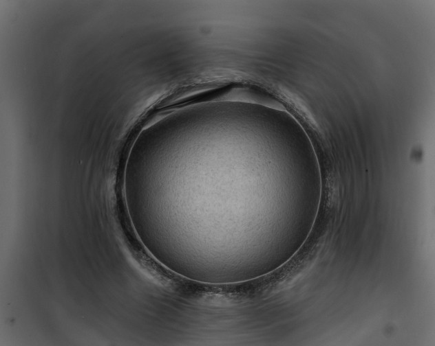 X0000101090538200807031728