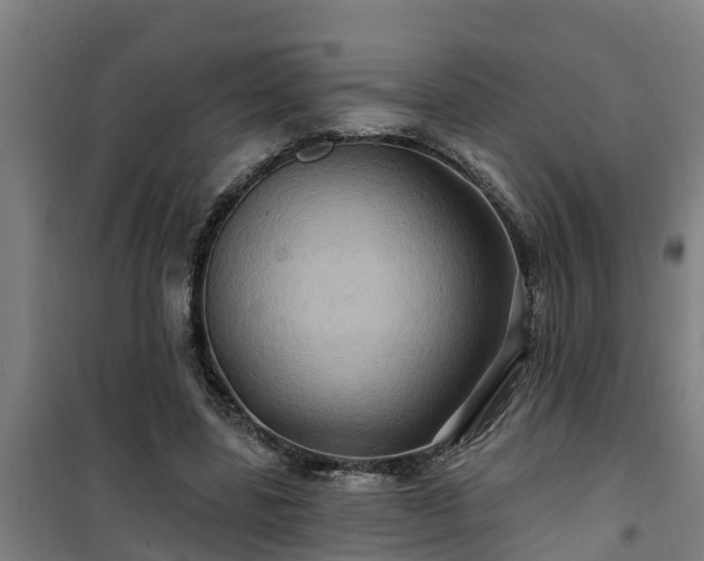 X0000101090539200807031728