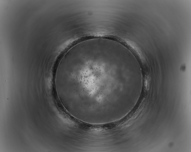 X0000101090540200807031728