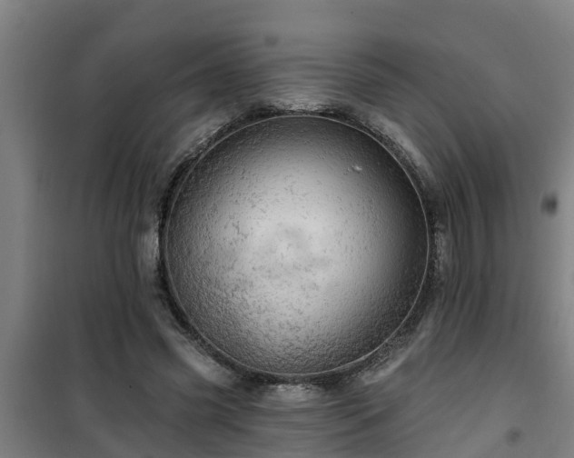 X0000101090541200807031728