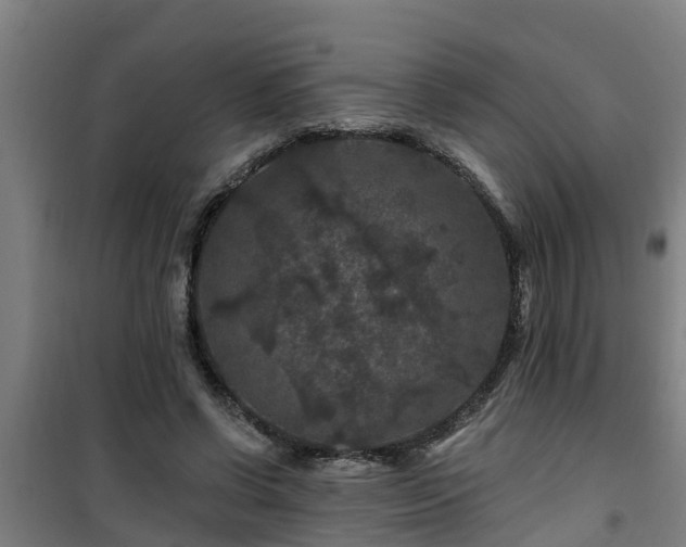 X0000101090542200807031728