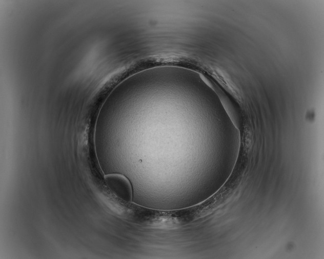 X0000101090543200807031728