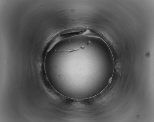 X0000101090544200807031728