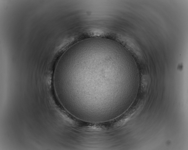 X0000101090545200807031728