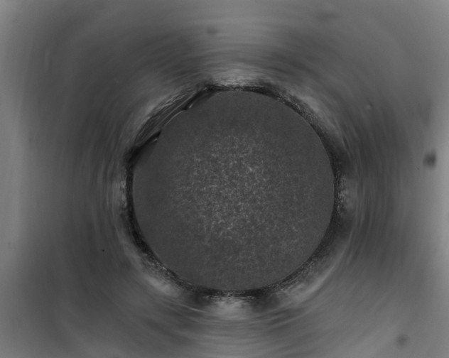 X0000101090547200807031729