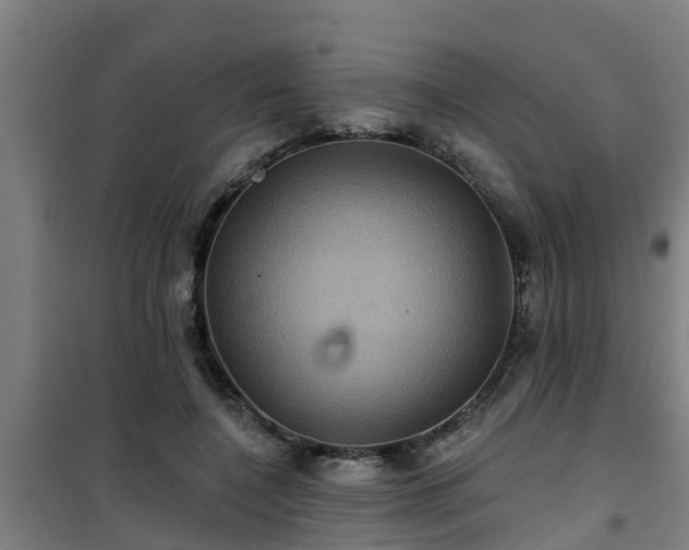 X0000101090548200807031729