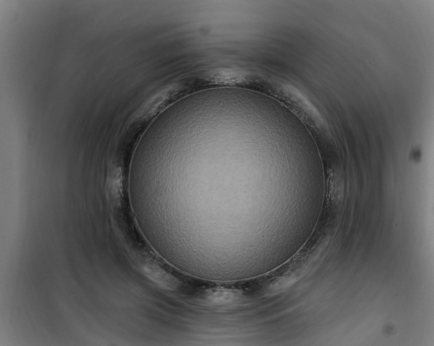 X0000101090549200807031729