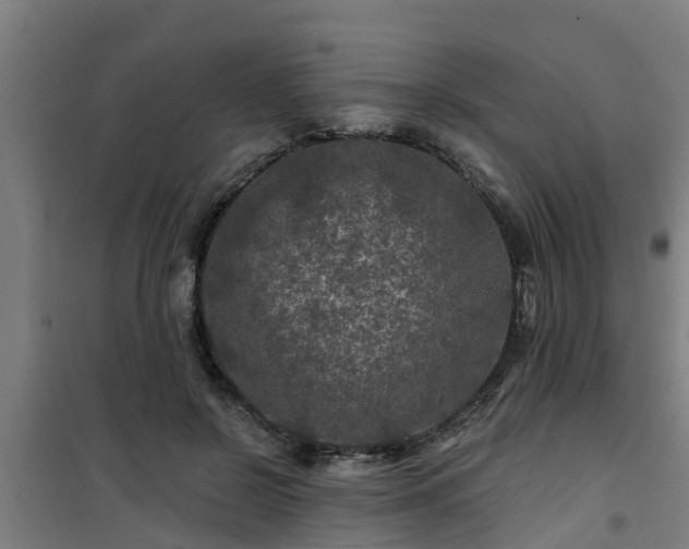 X0000101090550200807031729