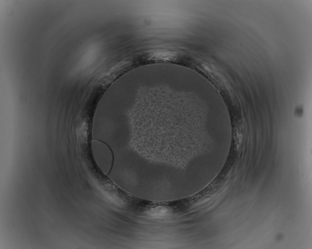 X0000101090551200807031729