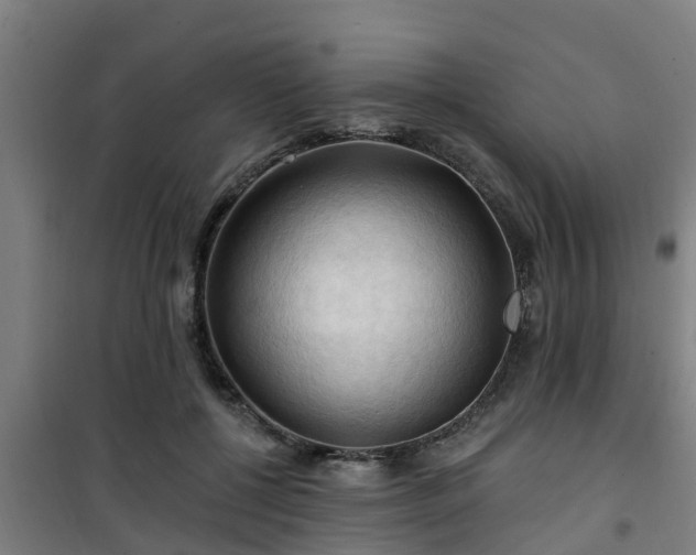 X0000101090552200807031729