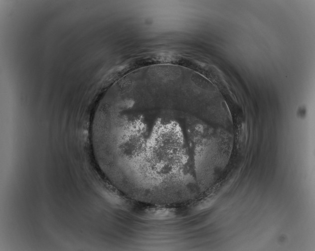 X0000101090553200807031729