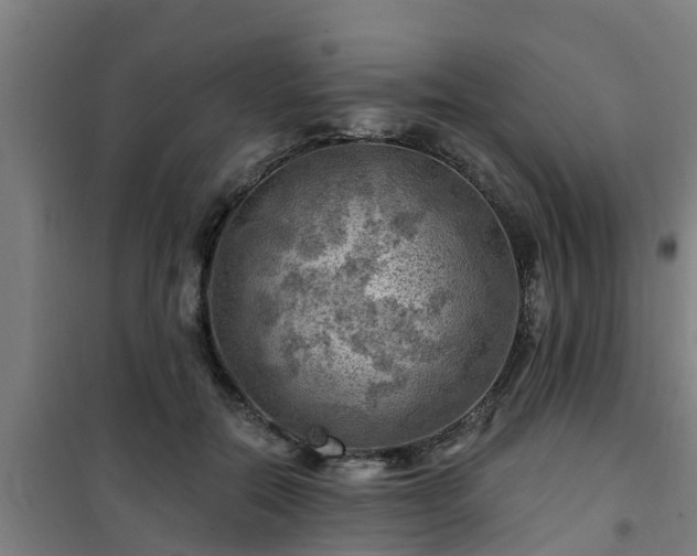 X0000101090554200807031729