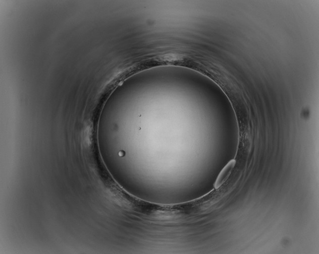 X0000101090556200807031729