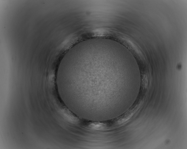 X0000101090557200807031729