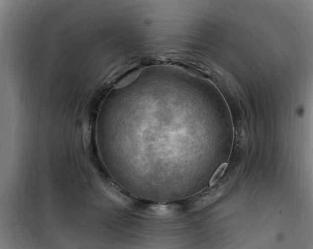 X0000101090558200807031729