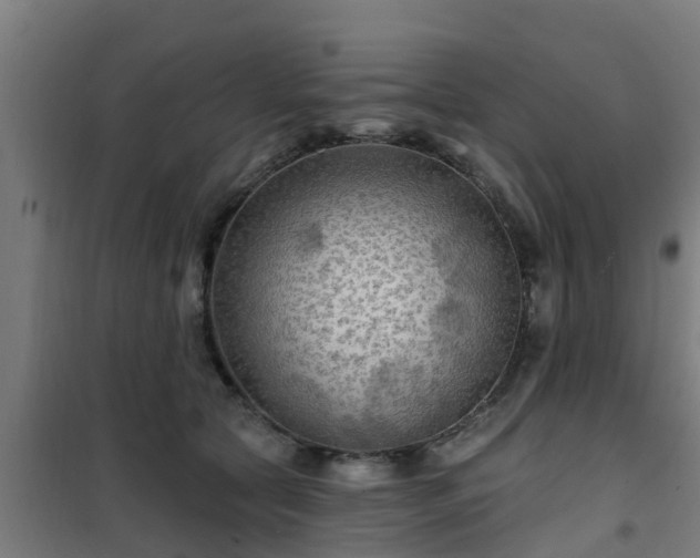 X0000101090561200807031729