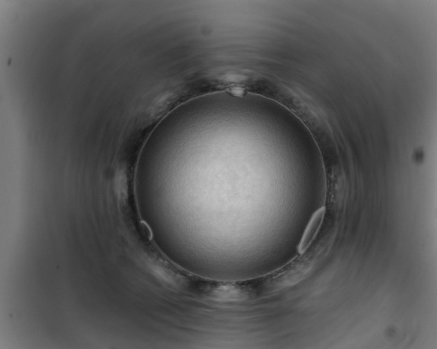 X0000101090562200807031729