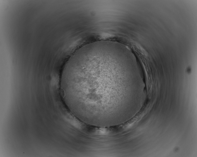 X0000101090565200807031729