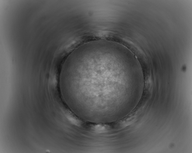 X0000101090566200807031729