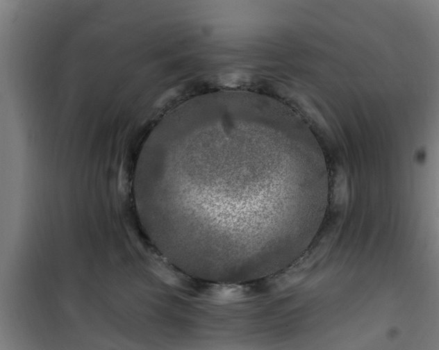 X0000101090569200807031729