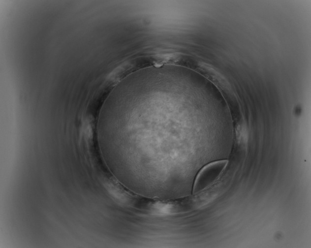 X0000101090570200807031729