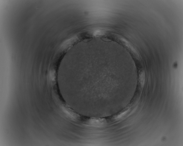 X0000101090571200807031729