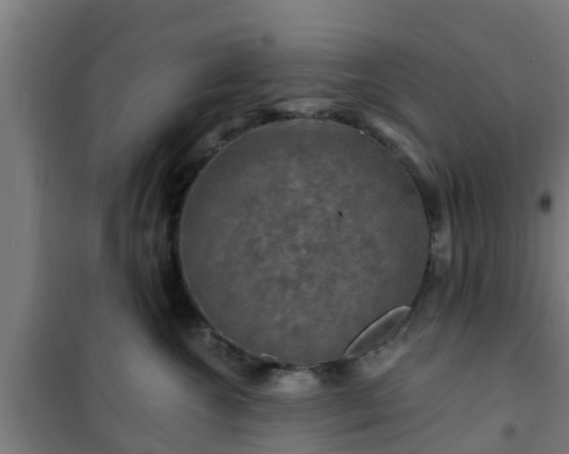 X0000101090572200807031729