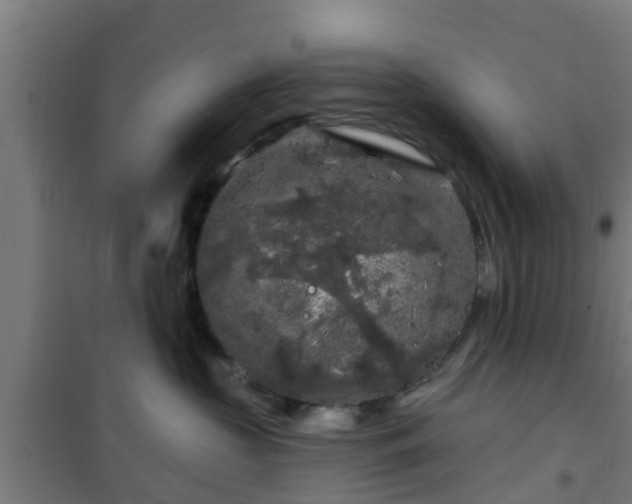 X0000101090573200807031729