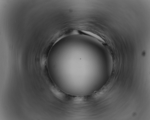 X0000101090574200807031729