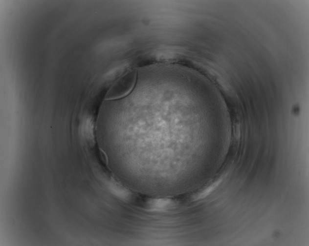 X0000101090575200807031729