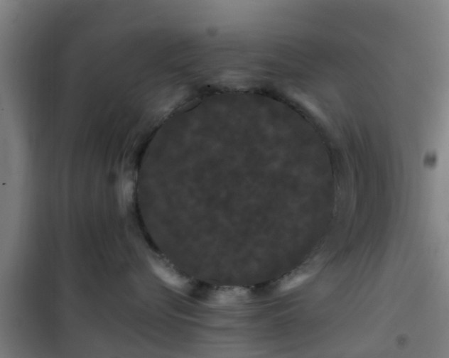 X0000101090576200807031729