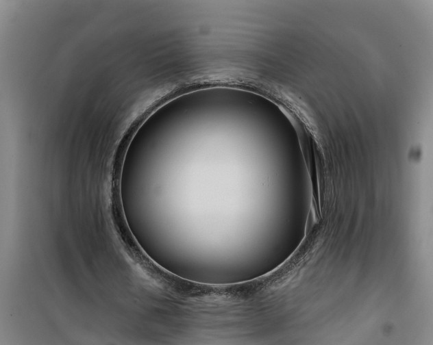 X0000101090578200807031728