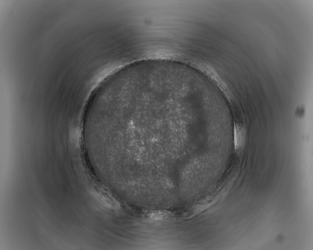 X0000101090579200807031728