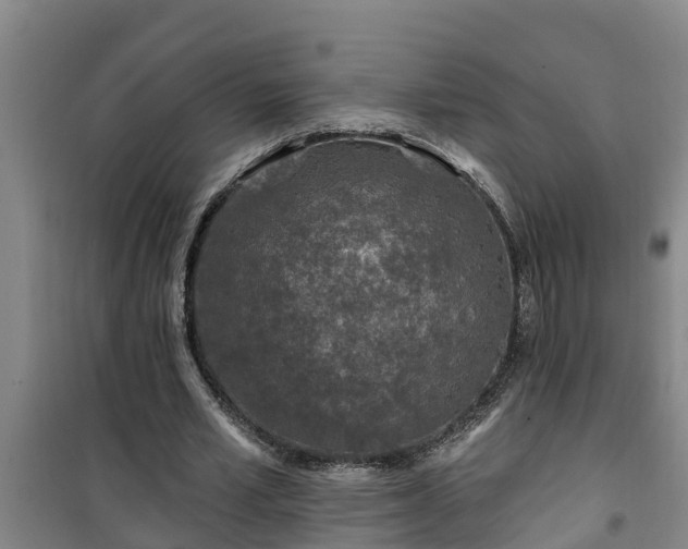 X0000101090581200807031728