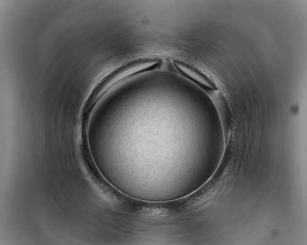 X0000101090582200807031728