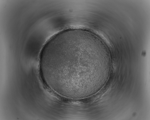 X0000101090583200807031728