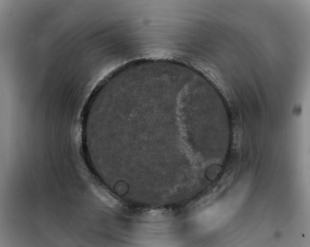 X0000101090584200807031728